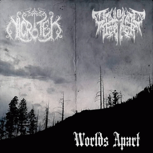 Nicrotek : Worlds Apart